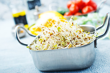 Image showing Raw sprouts