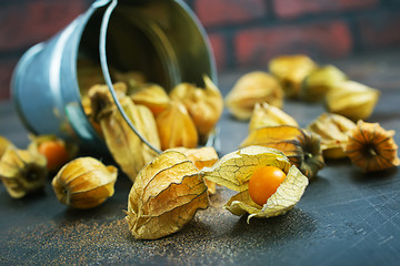 Image showing Physalis fruit