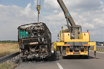 Image showing Crane Recovery Coach