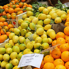 Image showing Citrus Fruits