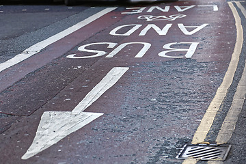 Image showing Bus and Bike Lane