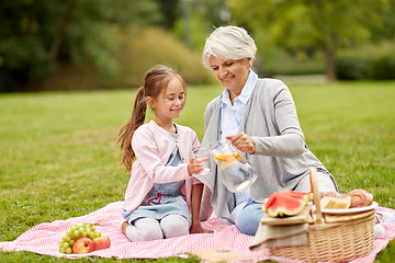 Image showing grandmother and granddaughter at picnic in park