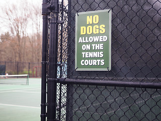 Image showing NO DOGS sign tennis court