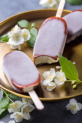 Image showing Homemade popsicle in chocolate icing.