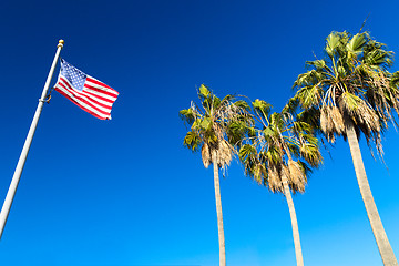 Image showing american flag and palm trees at venice beach