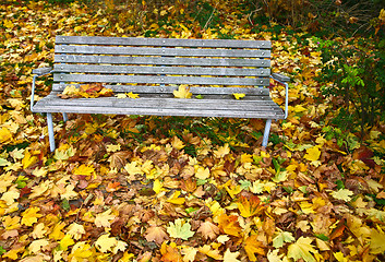 Image showing beanch with dead leaves in autumn in Denmark