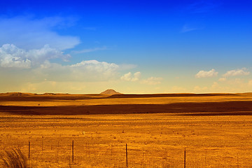 Image showing Rural Scene