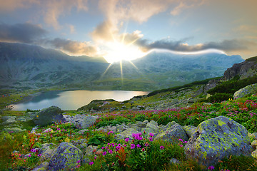 Image showing Summer mountain sunset in Retezat National Park