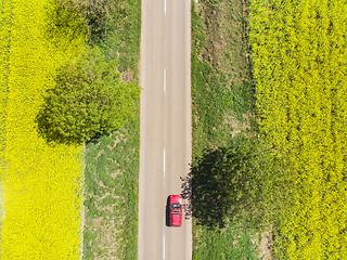 Image showing Red car between rape field