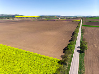 Image showing Spring fields and tractor tracks