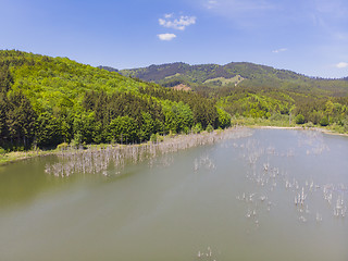 Image showing Aerial view of a natural lake