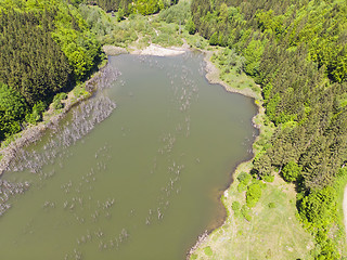 Image showing Natural lake in forest