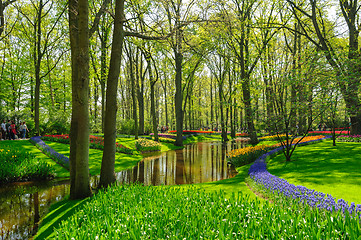 Image showing Flower beds of Keukenhof Gardens in Lisse, Netherlands