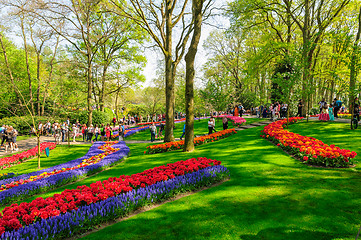 Image showing Flower beds of Keukenhof Gardens in Lisse, Netherlands