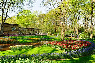 Image showing Flower beds of Keukenhof Gardens in Lisse, Netherlands
