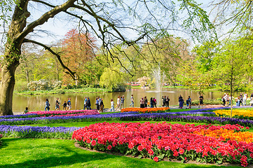 Image showing Flower beds of Keukenhof Gardens in Lisse, Netherlands