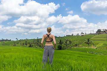 Image showing Relaxed casual sporty woman enjoying pure nature at beautiful green rice fields on Bali.