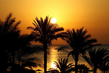 Image showing Beautiful seascape with morning sun, beach, and palm trees