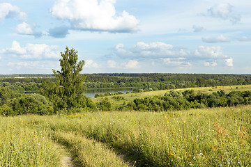 Image showing Beautiful summer landscape 