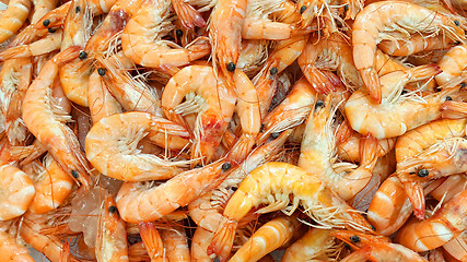 Image showing Fresh shrimp on the market