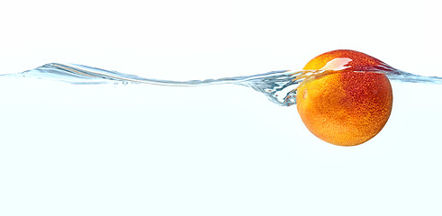 Image showing Orange fruit floating in water