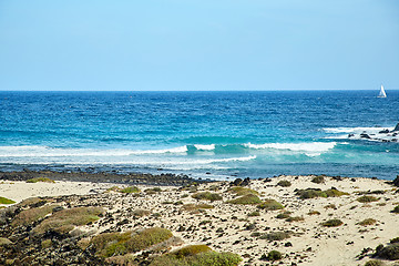 Image showing Landscape of Lanzarote Island, Canaries