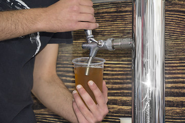 Image showing Barmen filling plastic glass with light beer