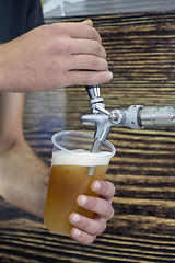 Image showing Barmen filling plastic glass with light beer