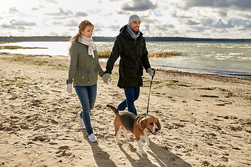 Image showing happy couple with beagle dog on autumn beach