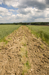 Image showing Dirt track