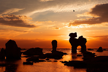 Image showing Wild coast