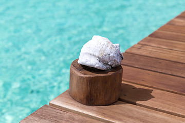 Image showing seashell on wooden pier in sea water