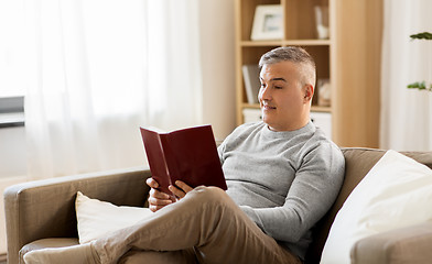 Image showing man sitting on sofa and reading book at home