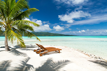 Image showing tropical beach with palm tree and sunbeds