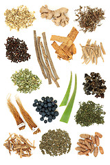 Image showing Adaptogen Herb Spice and Berry Fruit Selection 