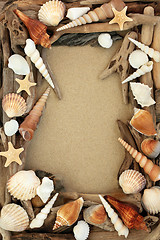 Image showing Driftwood and Seashell Background Border