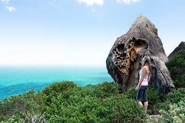 Image showing Visitor in Royal National Park taking in the sights