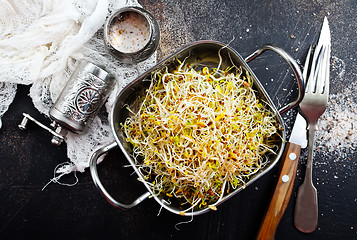 Image showing Raw sprouts