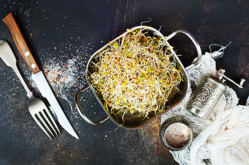 Image showing Raw sprouts