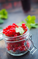 Image showing red currant