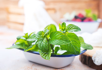 Image showing fresh mint