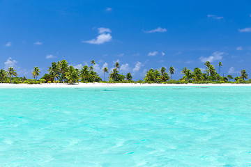 Image showing tropical beach with palm trees in french polynesia