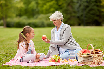 Image showing grandmother and granddaughter at picnic in park