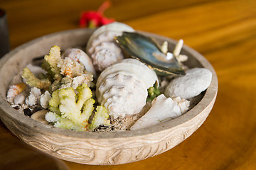 Image showing close up of seashells and corals in bowl on table