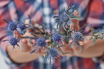 Image showing Female hands with blue flower eryngium