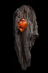 Image showing Natural amber. A piece of yellow and red semi transparent natural amber on piece of stoned wood.