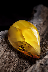 Image showing Natural amber. A piece of yellow opaque natural amber on large piece of dark stoned wood.