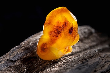 Image showing Natural amber. A piece of yellow opaque natural amber on large piece of dark stoned wood.