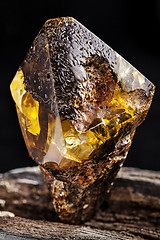 Image showing Natural amber stone. A piece of dirty amber with transparent yellow layer on piece of stoned wood.
