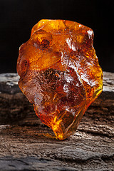 Image showing Natural amber. A piece of yellow and red semi transparent natural amber on piece of stoned wood.